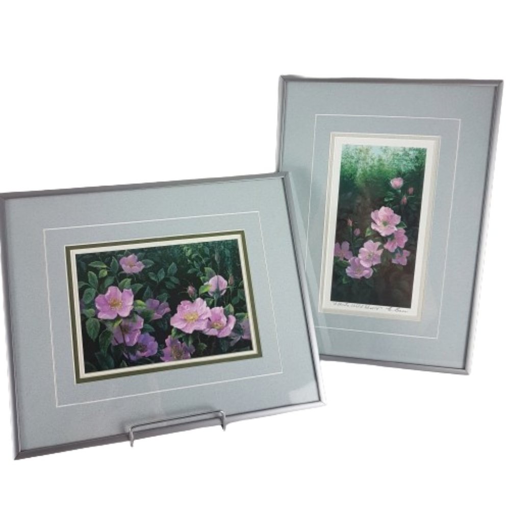 Framed Art Prints Alberta Wild Rose IV and Alberta Wild Rose VI by Elsie Baer